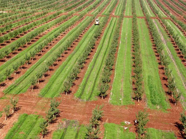 Nông nghiệp công nghệ cao Phép màu Israel và giải pháp cho Việt Nam  Phân  bón Cà Mau