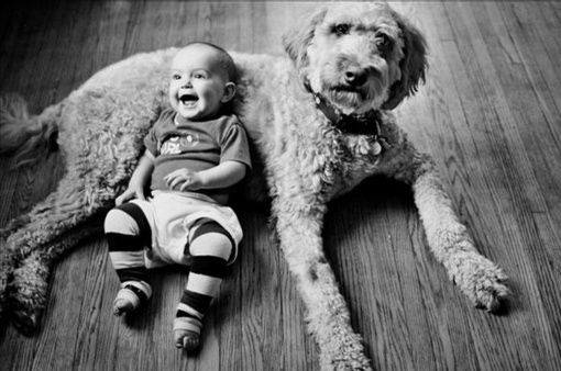 Tình bạn chó và người là nụ cười thắm thiết trong cuộc sống. Hãy xem hình đầy cảm động về loài vật thân thiết này cùng chủ nhân của nó.