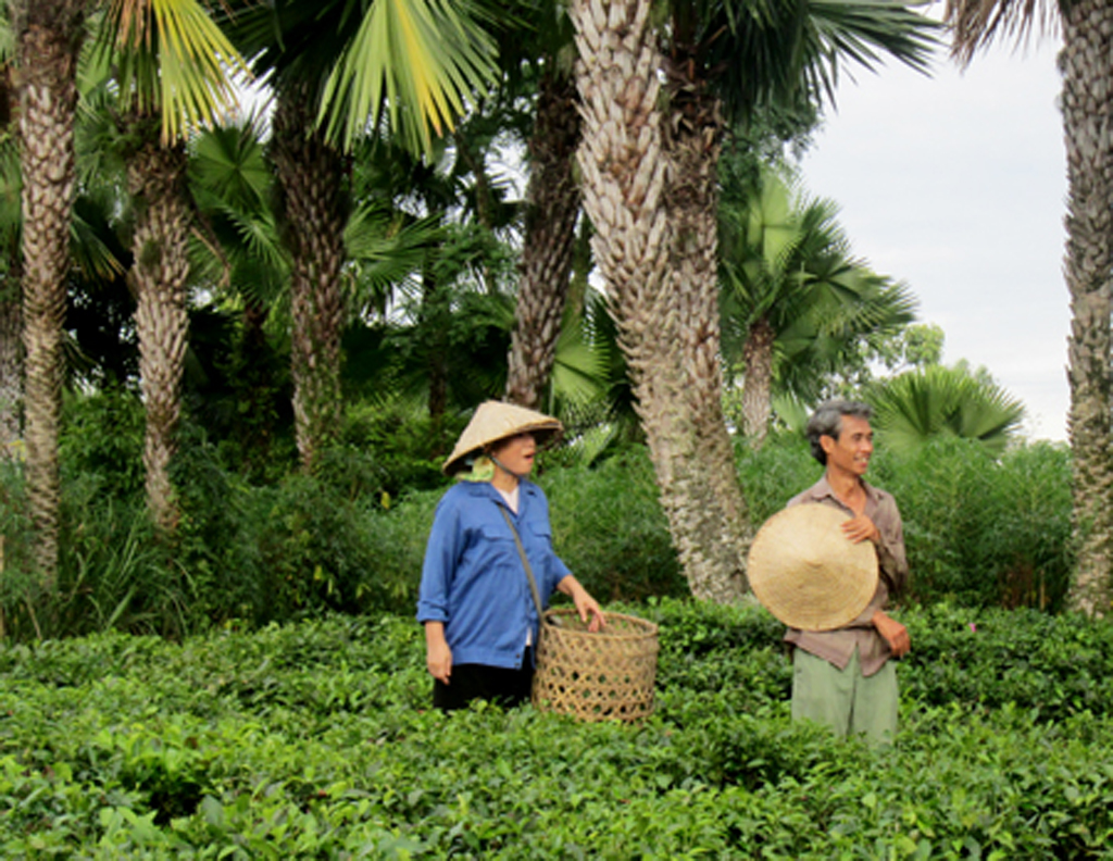 Phú Đôn trong phim Ông Tơ hai phẩy