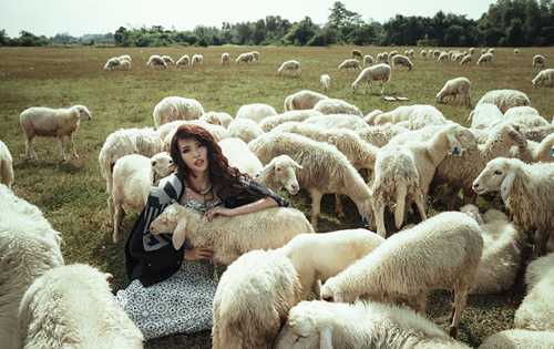 Hình ảnh Con Cừu PNG Miễn Phí Tải Về - Lovepik