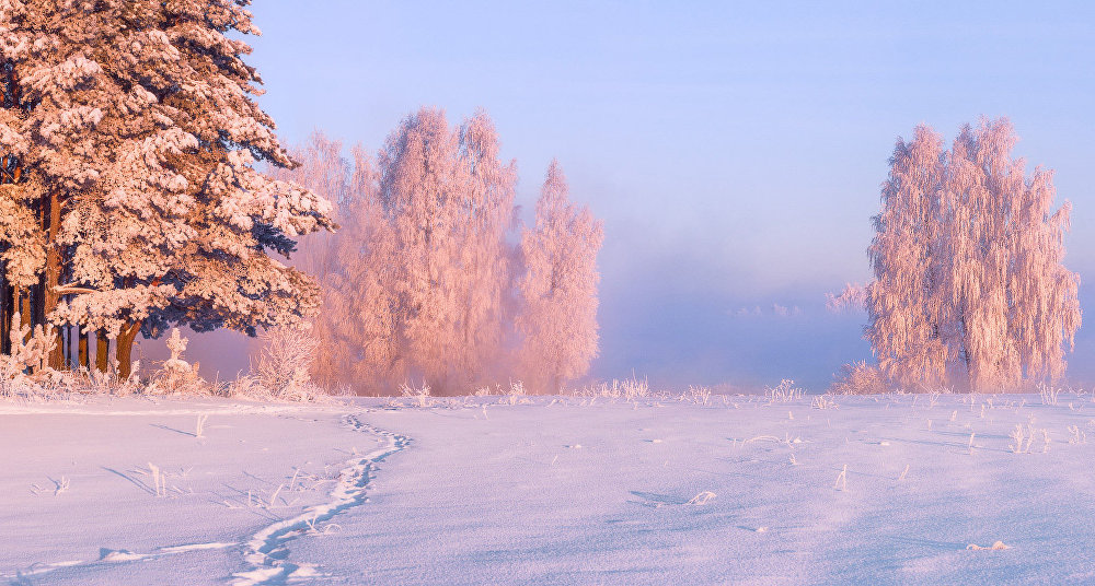 Ảnh: Cảnh tượng mùa đông đẹp như mơ ở Belarus