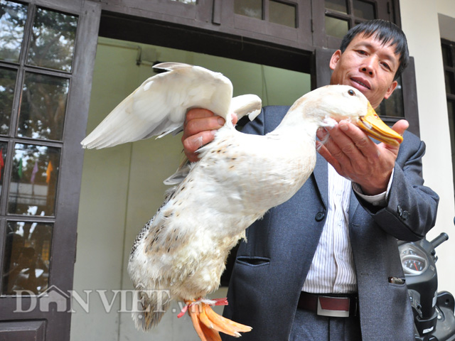 giao luu truc tuyen: ong doan van vuon - hanh trinh tro lai lam nong dan hinh anh 2