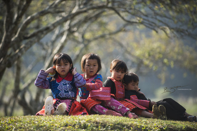 den moc chau kham pha tet cua nguoi mong hinh anh 4