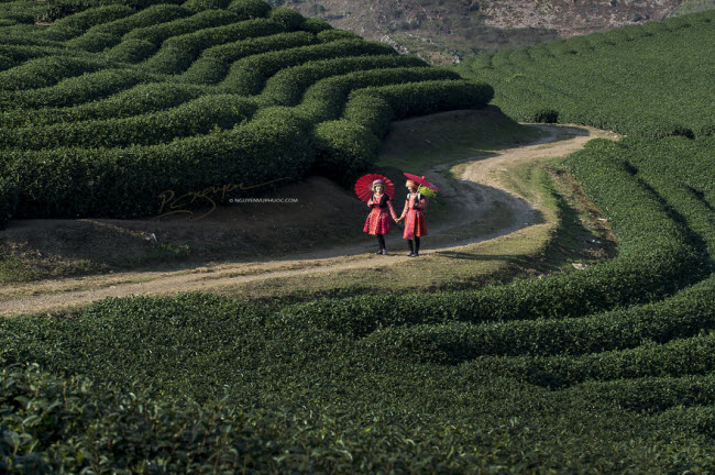 den moc chau kham pha tet cua nguoi mong hinh anh 12