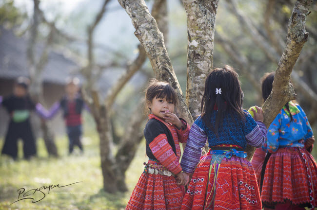 den moc chau kham pha tet cua nguoi mong hinh anh 6