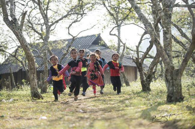 den moc chau kham pha tet cua nguoi mong hinh anh 7