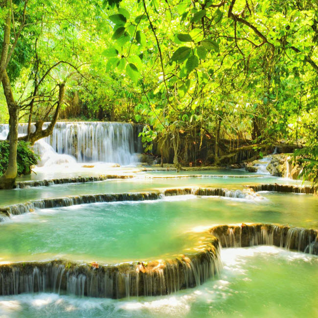 Ảnh đẹp thiên nhiên Việt Nam, hình nền thiên nhiên chất lượng - Tin Đẹp