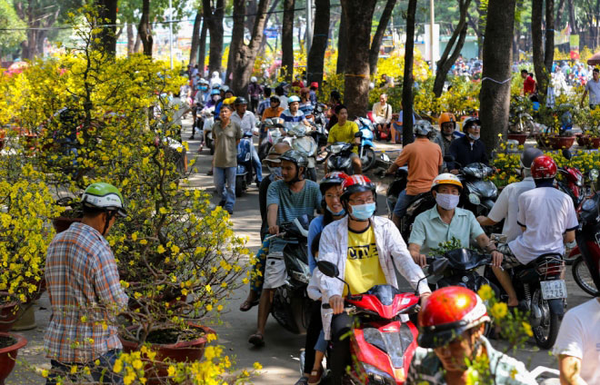 Hoa giảm giá: Nơi đây là thiên đường hoa - những bông hoa đa dạng màu sắc, kiểu dáng và hương thơm đan xen nhau tạo thành một khung cảnh tuyệt đẹp. Hiện tại, hoa giảm giá để mọi người có thể mua được những bó hoa tuyệt vời cho Tết đến rồi. Hãy tranh thủ đón xem những bông hoa đẹp trong hình ảnh.