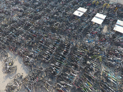 Rùng mình với những nghĩa địa xe đạp tại Trung Quốc