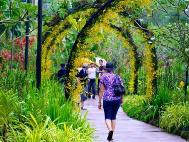 Ngắm vườn lan đẹp chưa từng thấy ở quốc đảo Singapore