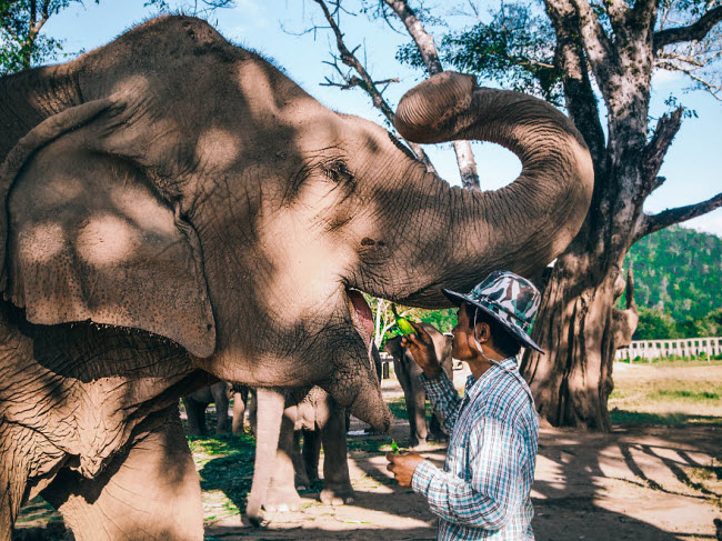 quen resort xa hoa di, den thai lan chan voi moi la 