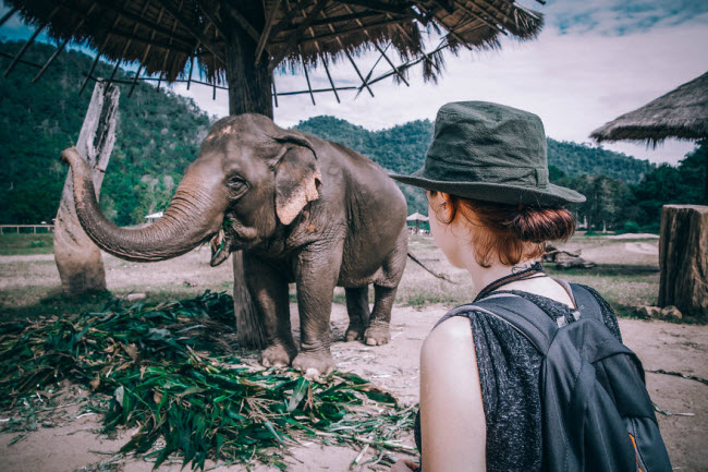 quen resort xa hoa di, den thai lan chan voi moi la 