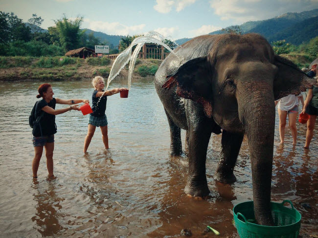 quen resort xa hoa di, den thai lan chan voi moi la 