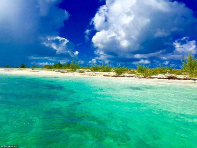 Bãi biển: Dòng nước xanh biếc phủ lên bãi cát trắng mịn, tiếng sóng thì thầm làm dịu đi muôn phiền toái của cuộc sống. Hãy cùng chiêm ngưỡng vẻ đẹp tinh khôi và thư giãn tuyệt vời của những bãi biển Việt Nam qua những bức ảnh đẹp như tranh vẽ.