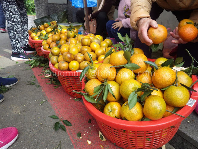 den dai loan check-in hoa anh nao no som ngay thoi! hinh anh 15