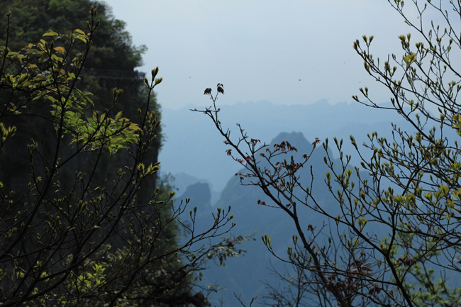 di tim thien duong va cong troi o truong gia gioi hinh anh 3