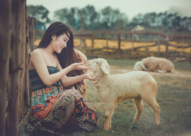 co mot dong cuu dep nhu mo ngay ngoai thanh ha noi hinh anh 10