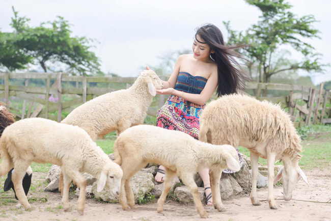 co mot dong cuu dep nhu mo ngay ngoai thanh ha noi hinh anh 7