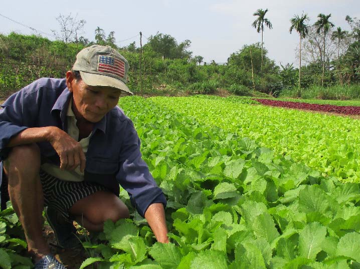 Làm giàu nhờ mô hình trang trại xanh ba sạch  baotintucvn