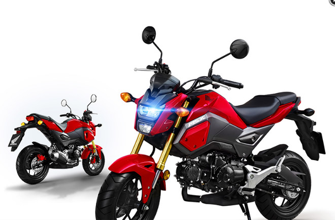 Tem xe Benelli TNT 125 Venom  DecalPro Store