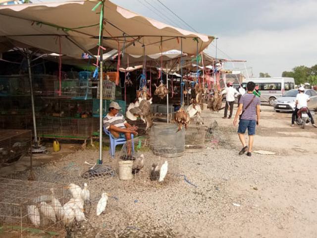 Cận Tết, dân Sài Thành đổ về chợ chim trời mua đặc sản ăn tất niên