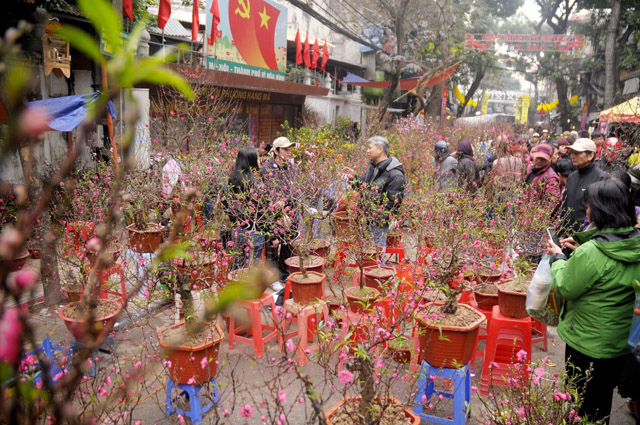 Chợ hoa phố cổ với những hàng hoa xen lẫn vào kiến trúc phố cổ độc đáo sẽ khiến bạn cảm thấy như đang đặt chân vào thế giới của những thương nhân hoa. Hãy xem bức ảnh và cảm nhận ngay những điều đó.