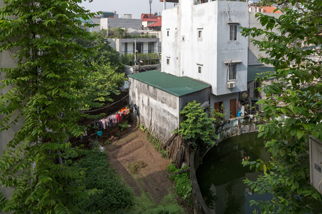 nha ha noi xinh dep duoc bao tay het loi ngoi khen dung dip tet hinh anh 2