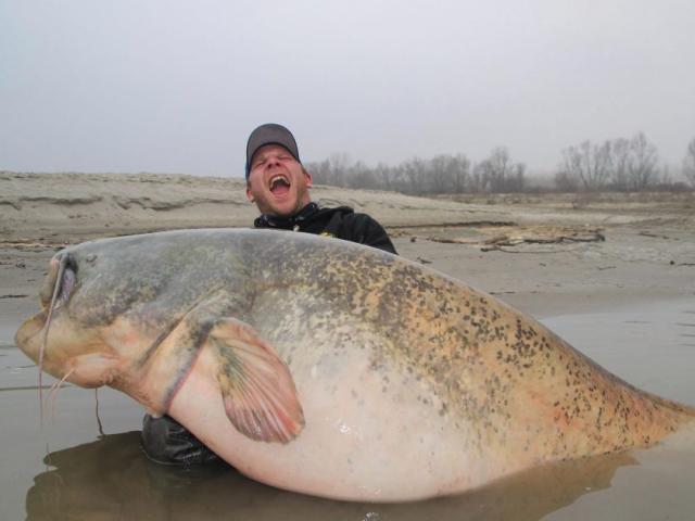 Câu được cá “quái vật” khổng lồ, phá kỷ lục nước Ý