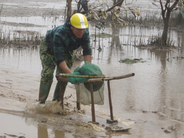 &quot;Thợ săn&quot; thu phục cá leo cây, 5 tiếng bỏ túi nửa triệu đồng