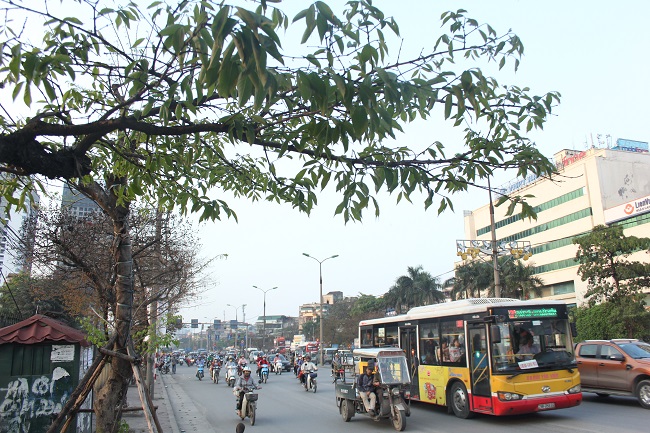 anh: choi non bang lang du sac xanh - vang - do trong nang dau ha hinh anh 13