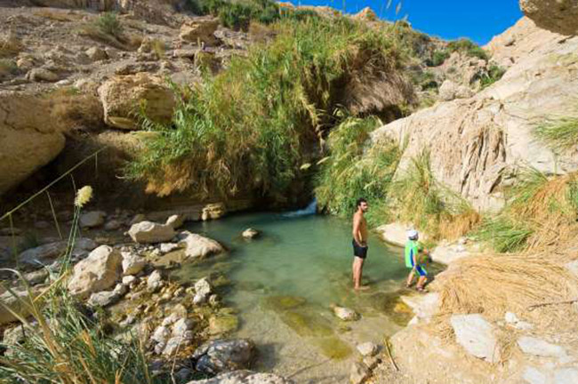 lac buoc toi nhung oc dao dep quen sau giua sa mac can coi hinh anh 8