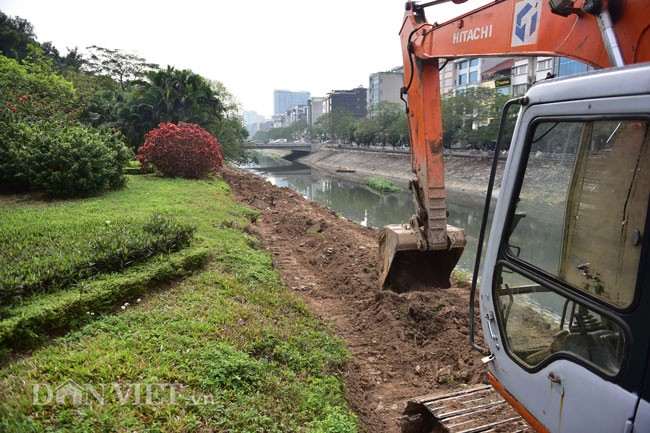 ha noi bat dau chat, di chuyen gan 500 cay xanh mo rong duong lang hinh anh 9