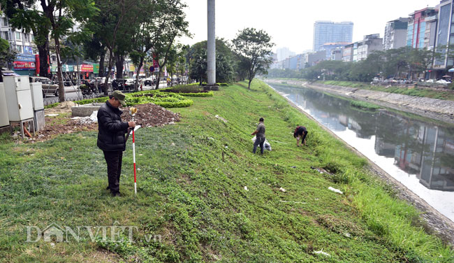 ha noi bat dau chat, di chuyen gan 500 cay xanh mo rong duong lang hinh anh 10