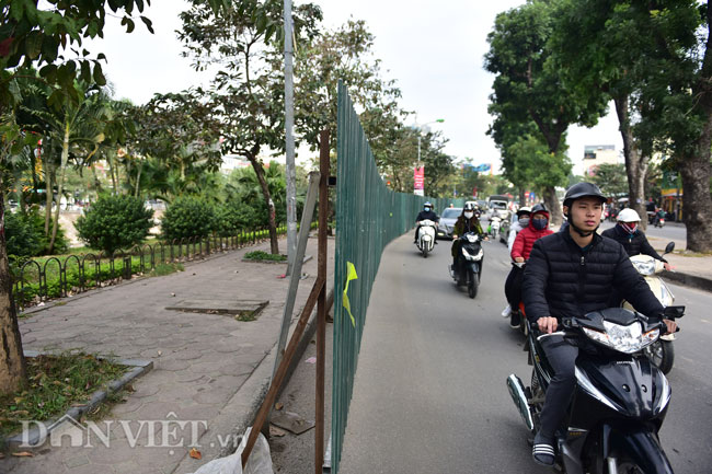 ha noi bat dau chat, di chuyen gan 500 cay xanh mo rong duong lang hinh anh 2