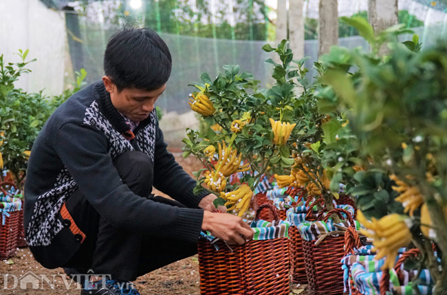 anh: lang phat thu lon nhat ha noi san sang xuat hang don tet hinh anh 3