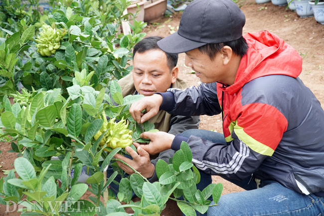 anh: lang phat thu lon nhat ha noi san sang xuat hang don tet hinh anh 6