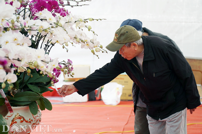 anh: lan ho diep gia hang chuc trieu di may bay tu da lat ra ha noi hinh anh 11