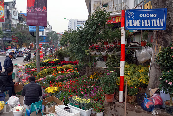 Chợ Bưởi dài khoảng 1km, chạy dọc từ đầu đường Hoàng Hoa Thám tới bệnh viện phổi TW. Đây là một trong những chợ cây cảnh lâu đời nhất nhì Hà Nội, có từ thời Pháp thuộc.