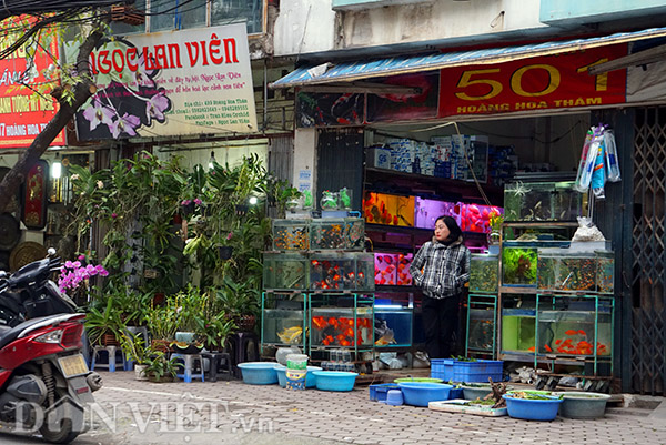 Không chỉ bán hoa và cây cảnh, chợ Bưởi còn có các cửa hàng mua bán vật nuôi, như chim cảnh, cá cảnh và các loại phụ kiện, như: chậu cây, giàn treo, thức ăn cho thú cưng... 