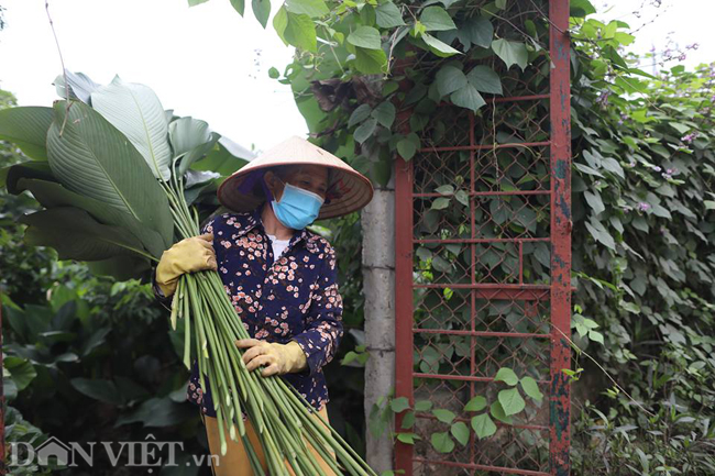 anh: lang la dong lon nhat ha noi vui vu tet hinh anh 4