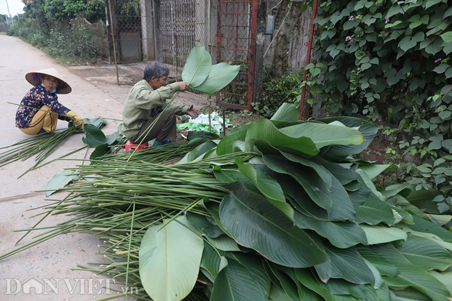 anh: lang la dong lon nhat ha noi vui vu tet hinh anh 5