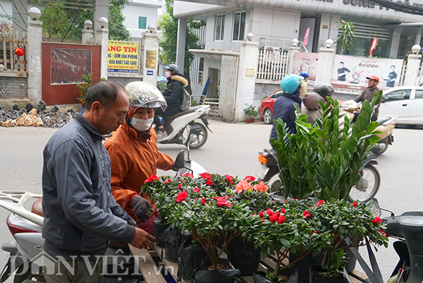 Nhiều tiểu thương hàng ngay trên vỉa hè, hoặc đơn giản hơn là dừng xe ngay lề đường. Khách mua chỉ cần tấp lại, ngắm và trả giá; rất tiện lợi.