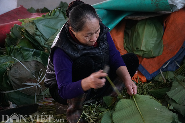 anh: lang goi banh chung lon nhat ha noi tat bat vao vu tet hinh anh 3