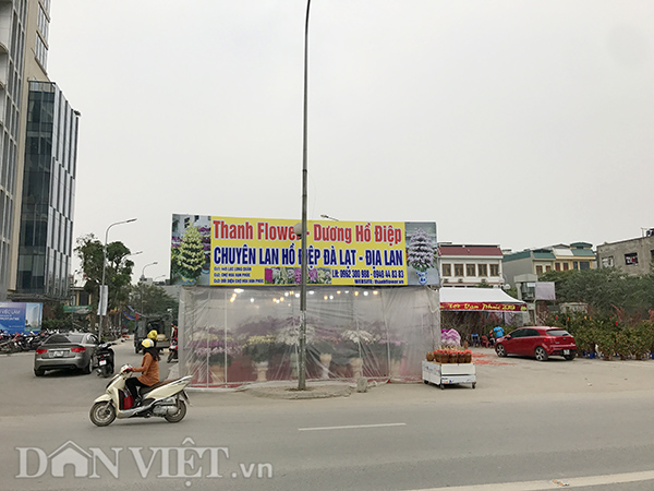 Hy hữu hơn, một nhà lạnh 