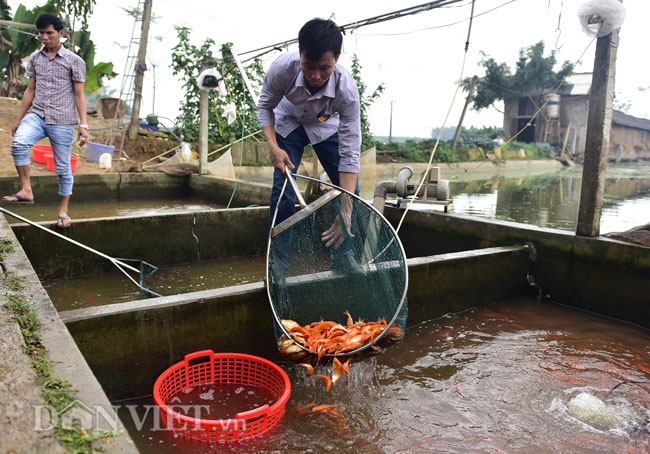 anh: nhon nhip lang san xuat 