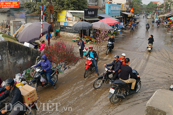 Một tuần trước Tết Kỷ Hợi, đường ra vào làng Nhật Tân, quận Tây Hồ, Hà Nội, tấp nập người qua lại.