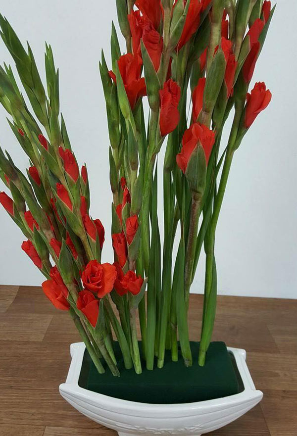Cắm hoa đơn giản với Hoa Lay Ơn sẽ giúp cho bạn trang trí các không gian nhà cửa, bàn làm việc, hay làm quà tặng cho người thân. Bạn chỉ cần một chậu hoa Lay ơn và một chút sáng tạo, món quà của bạn sẽ trở nên độc đáo và mang lại nhiều cảm xúc cho người nhận.