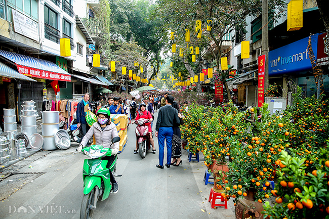 anh: lon bang dong gia chuc trieu dat khach dip tet ky hoi hinh anh 2