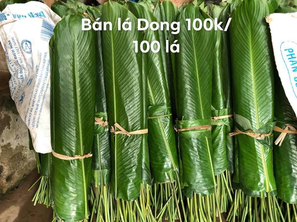 Cau cúng đắt khét - Hình ảnh những bức tượng cây lá rong được đặt lên bàn thờ và câu cúng theo truyền thống sẽ khiến bạn cảm thấy yên bình và động lực hơn trong cuộc sống hiện tại.