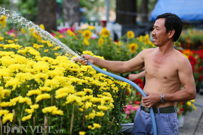 anh: cuc mien bien “soan ngoi” cuc mien tay ngay can tet nguyen dan hinh anh 4